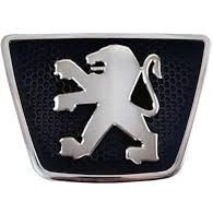 آرم جلو پنجره پژو 405 شرکتی